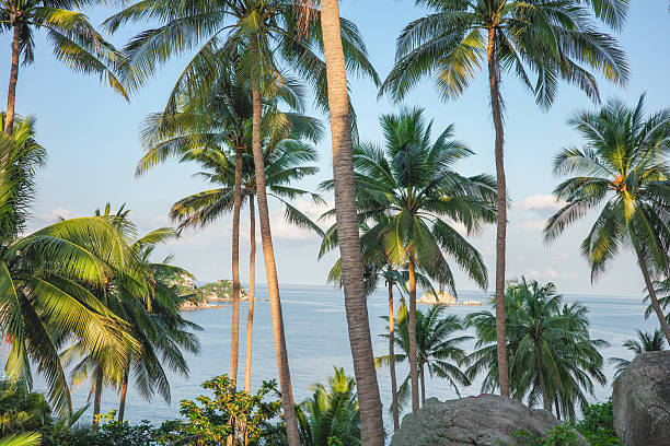 A beautiful landscape on the viewpoint of John-Suwan Viewpoint in Koh Tao, Thailand in the summer before sunset