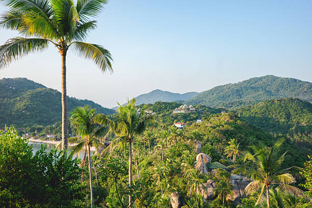 A beautiful landscape from John-Suwan Viewpoint in Koh Tao. A sunset hike overlook the fertile mountain that full of coconut trees and resort