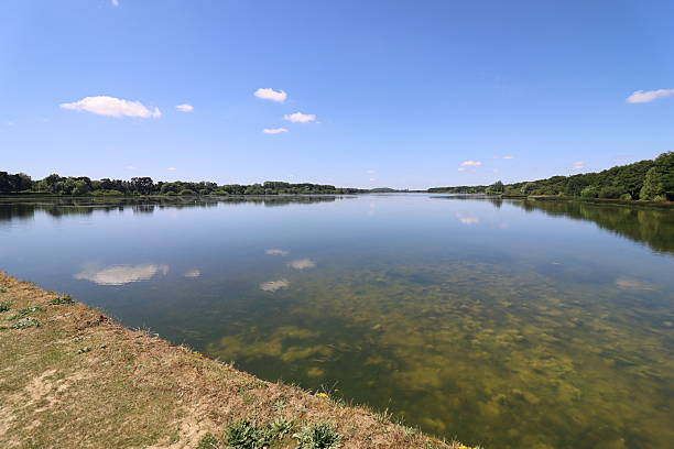istock Montigny le Bretonneux - Saint-Quentin pond 2225034485