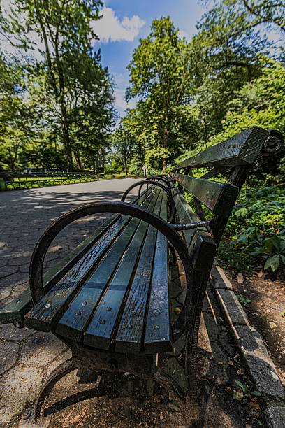 istock A serene park bench in lush greenery 2225034894