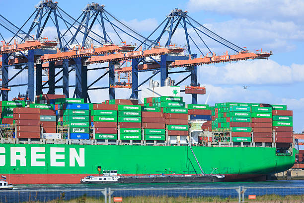 Rotterdam, Netherlands—May 05, 2025: stacked containers on the Evergreen cargo ship at Maasvlakte port, Europoort port