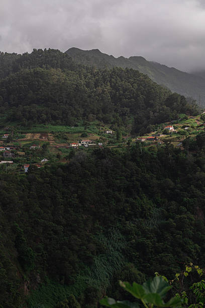 istock Dark forested hills and village under cloudy sky Vertical 2225036160