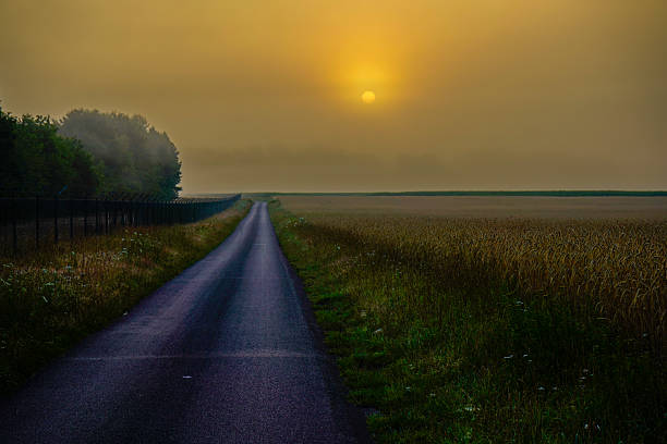 A lonely asphalt road leads through a misty landscape at dusk. The atmosphere is melancholic and tranquil, near the Alhorn fish ponds in 26197 Großenkneten, Lower Saxony, Germany.