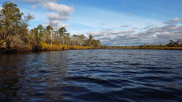 istock Ochlockonee RIver State Park and Saint Mark's National Wildlife Refuge 2225040059