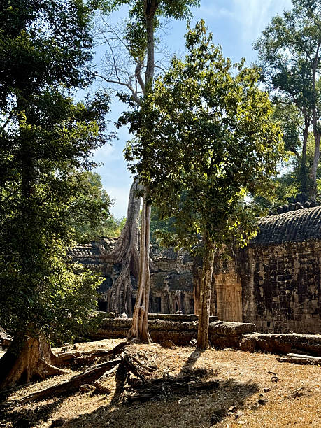 istock Angkor Temple - Siem Reap - Cambodia 2225047690