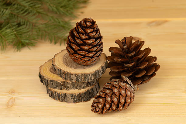 istock Christmas decorations, spruce cones and green spruce branches 2225047989