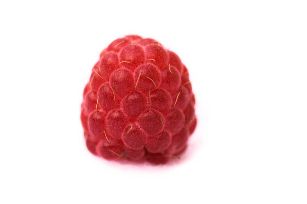 Close up of Raspberry