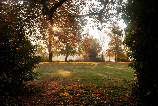 istock Park in autumn in Kopenick, Berlin, Germany 2225051810