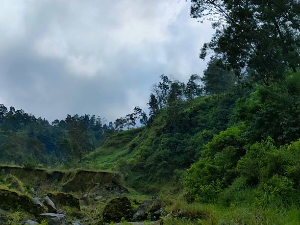 istock Rocky Trail Through a Lush Hillside Valley 2225056088