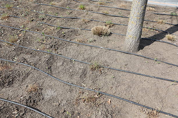 istock Effective Irrigation Systems Designed for Use in Arid and Dry Landscapes and Regions 2225058674