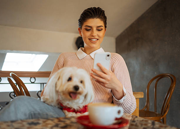 istock Woman using smartphone with her dog in a cafe 2225063282