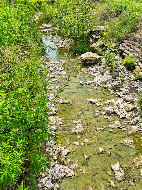 istock Nearly Dried Riverbed with Sparse Water and Surrounding Greenery 2225063420