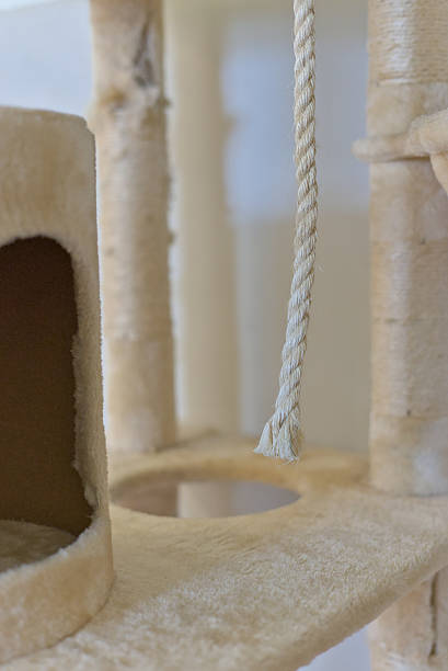 istock Focused Rope Detail on Cat Tree with White Background 2225063466