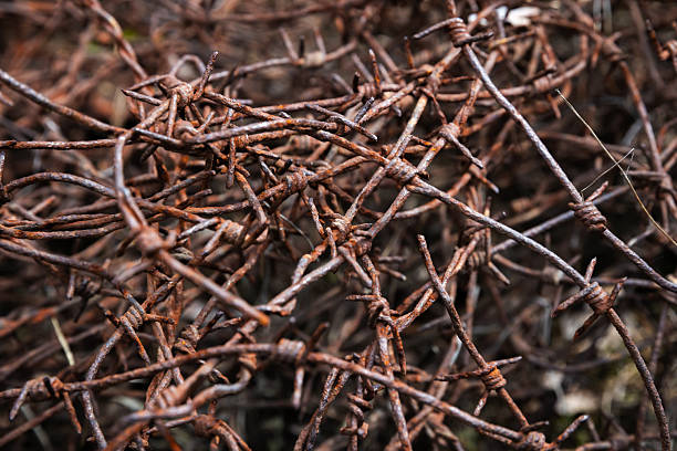 istock Rust-covered barbed wire tangled together, showcasing aged metal, sharp edges 2225064847