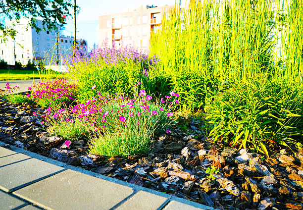 Landscape Architecture for Public Spaces. Garden Pathway. Walkway in green spaces. Landscape design. Lawn grass, manicured lawn, flowers, shrubs in urbanization. Landscaping for urban spaces.