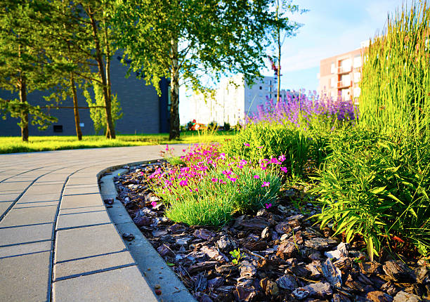 istock Landscape Architecture for Public Spaces. Garden Pathway. 2225065032