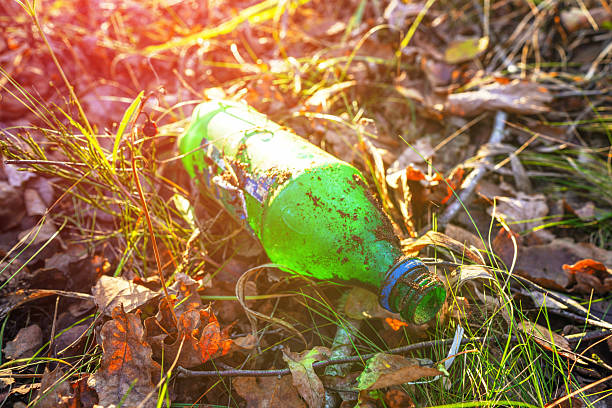 Plastic bottle thrown away in forest. Garbage in nature, reusable products. Rubbish thrown in forest. PET Plastic water bottle thrown out in nature. Waste in nature. Abandoned pet garbage waste.