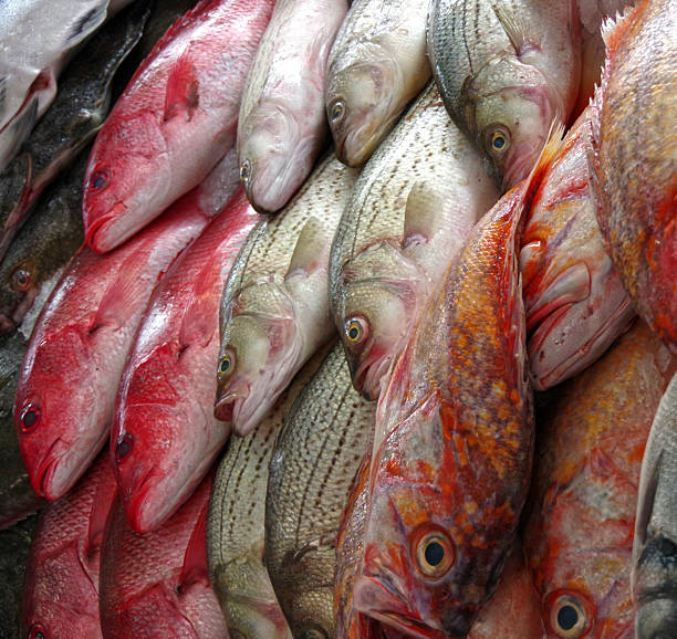 istock Fresh catch at a fish market 2225066788