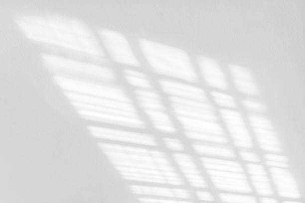 istock The background is the shadows from the window frame cast by sunlight on a white wall. The soft light creates a calm and minimalistic pattern. 2225067714