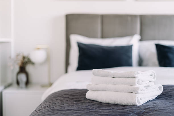 istock Comfortable hotel suite with modern decor and bedding for a relaxing morning 2225069161