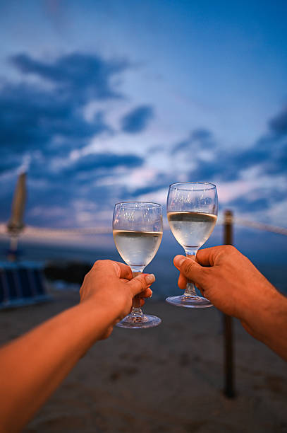 istock Couple toasting with white wine glasses on the beach at sunset 2225072713