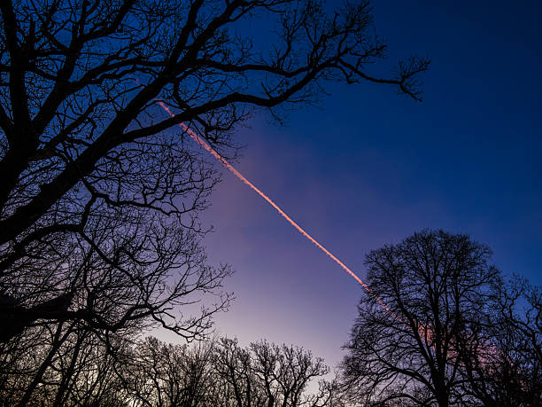 istock Vibrant sunset sky with contrails framed by silhouetted trees in a serene landscape 2225073024