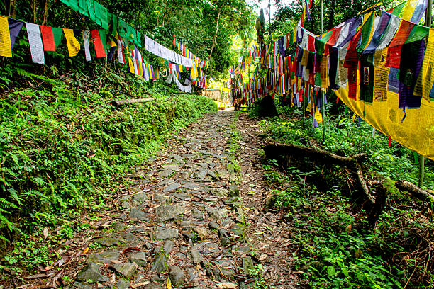 istock Pathway adorned with Buddhist Prayer flags or Lungta wind horse flags 2225076589
