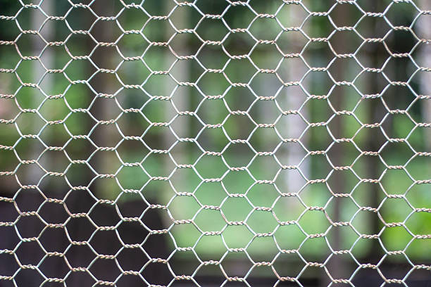 istock A big net makes a background, and behind green blur 2225077075