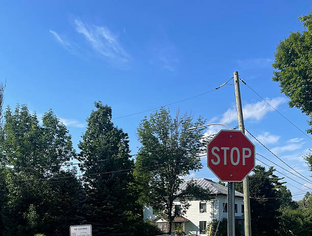 istock Haskell Free Library in Derby Line, Vermont 2225082938