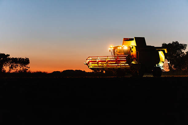 Combine harvester working late at sunset in a field, harvesting crops