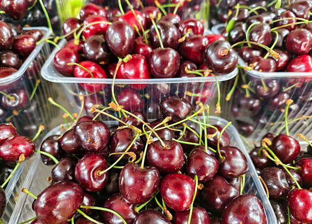 istock Close-up view of multiple clear plastic containers filled with ripe, dark red cherries 2225086383