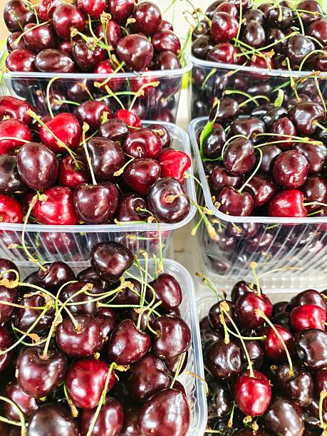 istock Close-up view of multiple clear plastic containers filled with ripe, dark red cherries 2225086407