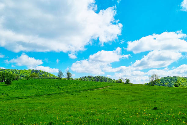istock Serene Spring Landscape with Green Hills and Fluffy Clouds under Blue Sky 2225087466