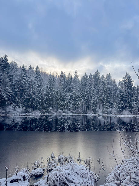 istock Cold winter day next to a lake 2225089628