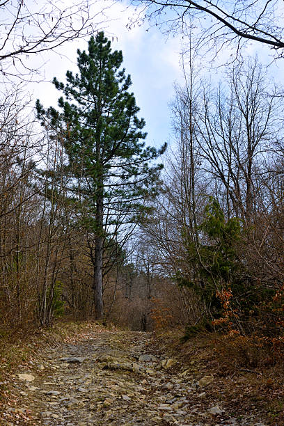 Hiking trail to Mount Giarolo, Alessandria, Piedmont, Italy