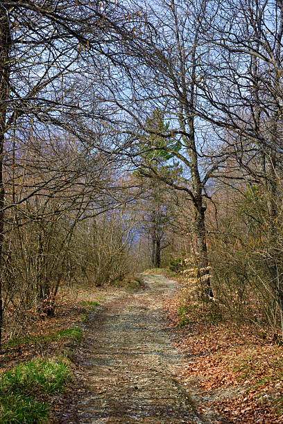 Hiking trail to Mount Giarolo, Alessandria, Piedmont, Italy