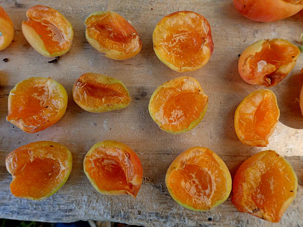 istock Delicious apricots left to dry in the sun 2225101612