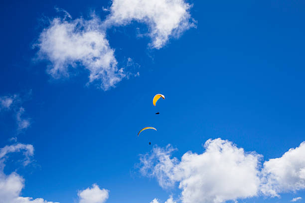 Two paragliders glide gracefully in a bright blue sky dotted with fluffy white clouds, enjoying the thrill of flight on a sunny day.