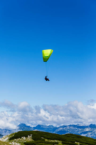 A paraglider hovers gracefully over a vast mountain range, surrounded by lush green terrain and a stunning clear blue sky, capturing the thrill of adventure sports in nature.