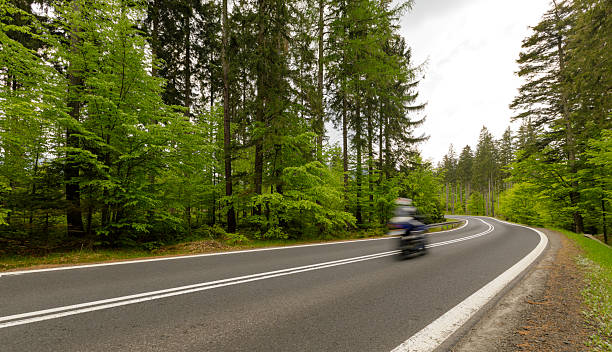 istock Motorcyclist rides through a winding road surrounded by lush green forest in springtime 2225108289