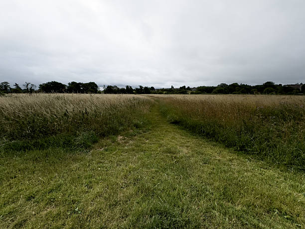 Beautiful County of Wiltshire in The UK.