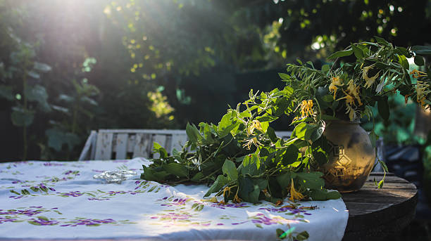 backyard garden on a warm evening at sunset and flowers on the table just picked