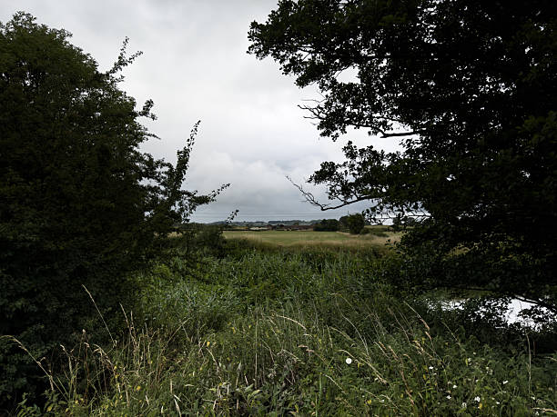 istock Summer in the United Kingdom 2225112669