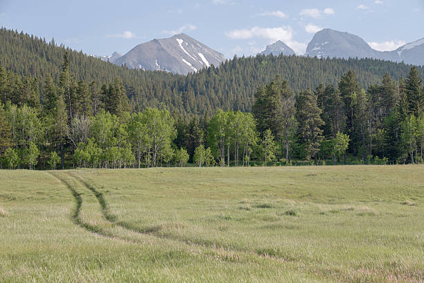 Rural road in lush meadow and distant mountains, springtime, Crowsnest Pass, Alberta