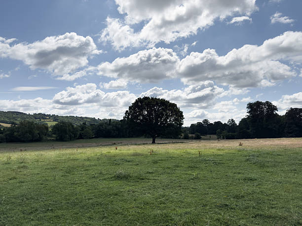 istock Summer in the United Kingdom 2225114379