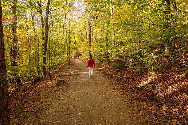 istock Woman walking on a forest path in the mountains in autumn 2225115421