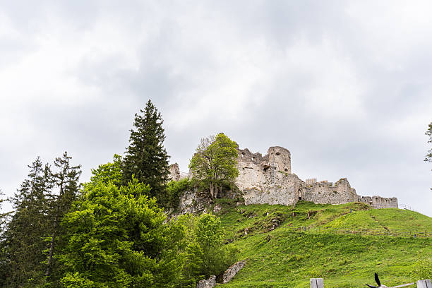 Ancient walls of Ehrenberg Castle surrounded by pines and lush green hills.