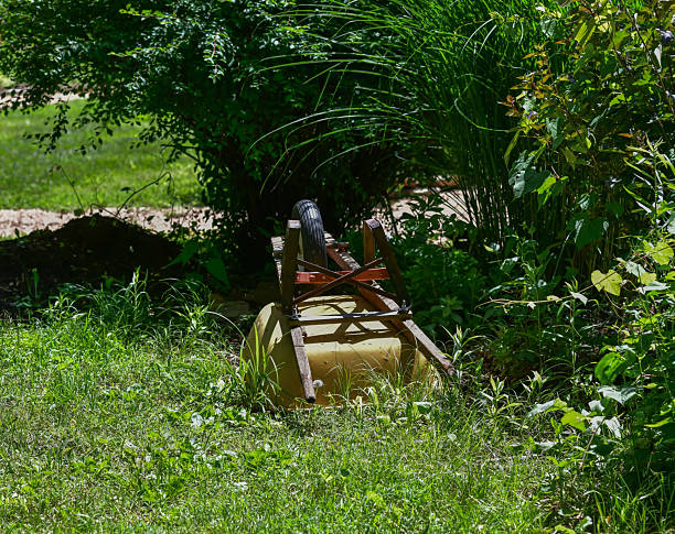 In the yard near the house, there is a construction wheelbarrow filled with garbage, in which an orange plastic rake and a shovel are propped up. The topic of street cleaning.