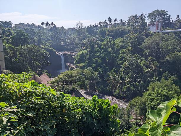 istock A waterfall cascades through dense tropical rainforest 2225122492