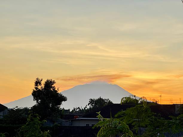 istock Misty mountain behind trees under warm golden sunrise sky 2225124016